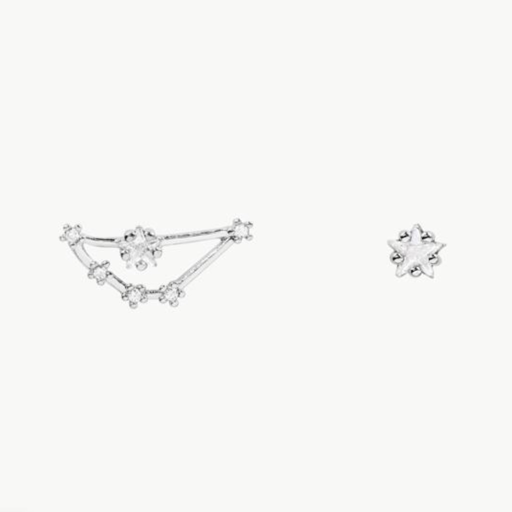Capricorn Silver Zodiac Earrings (Y)